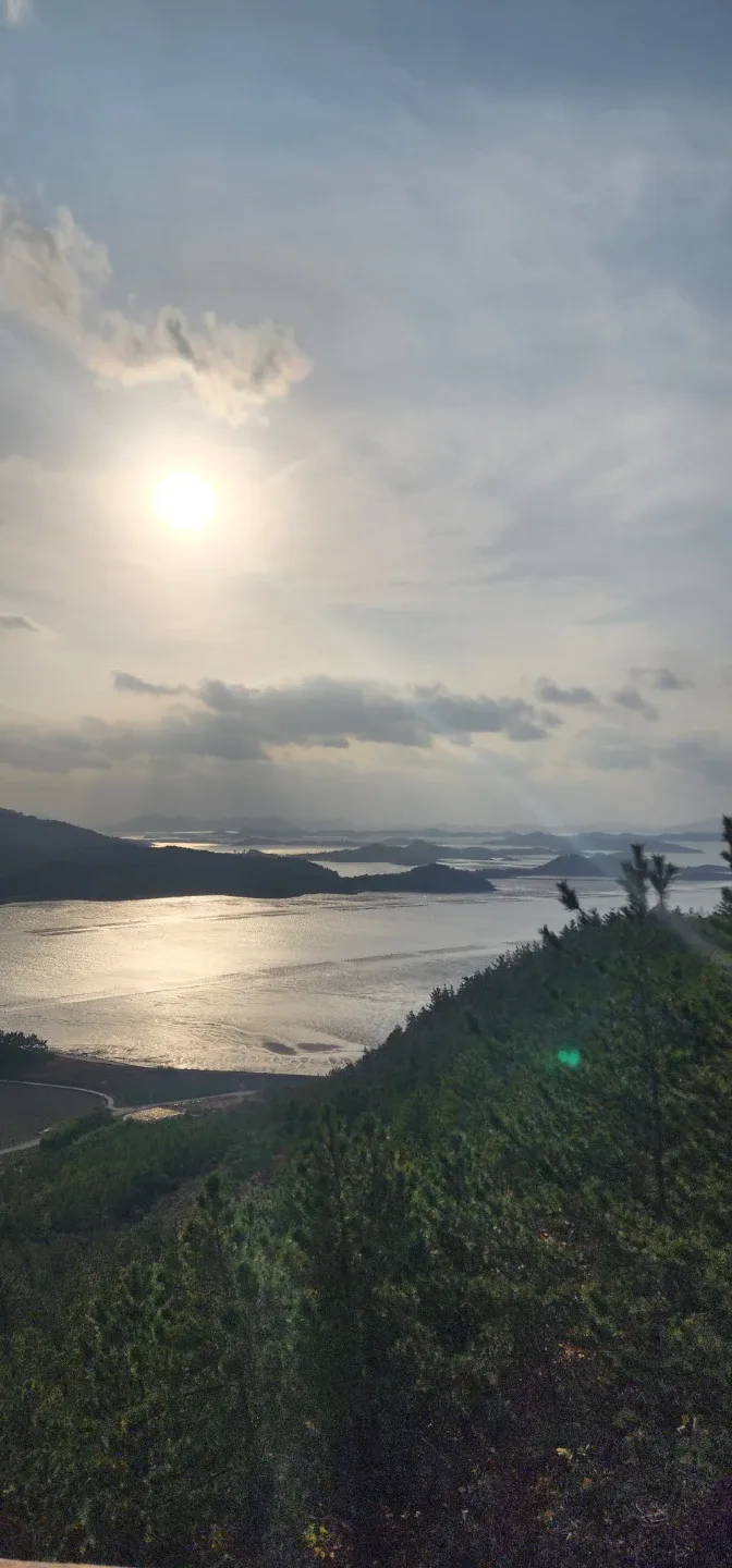 토끼