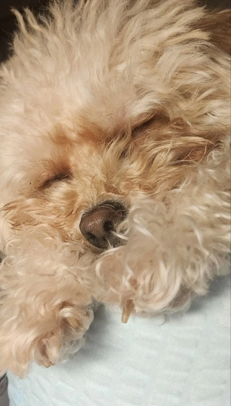 이사와써요