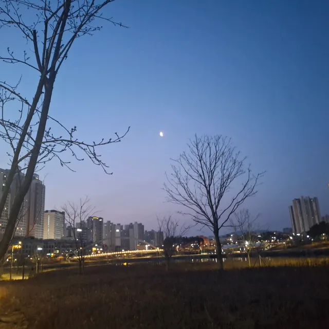 모찌