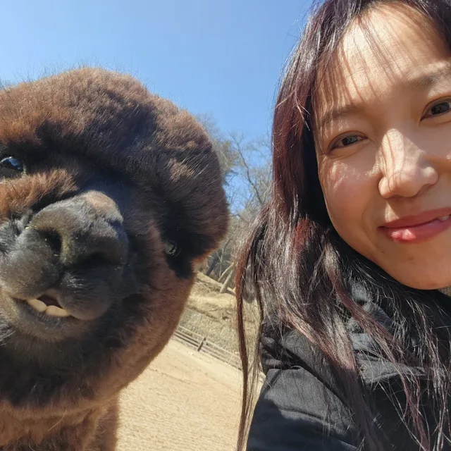 호짱