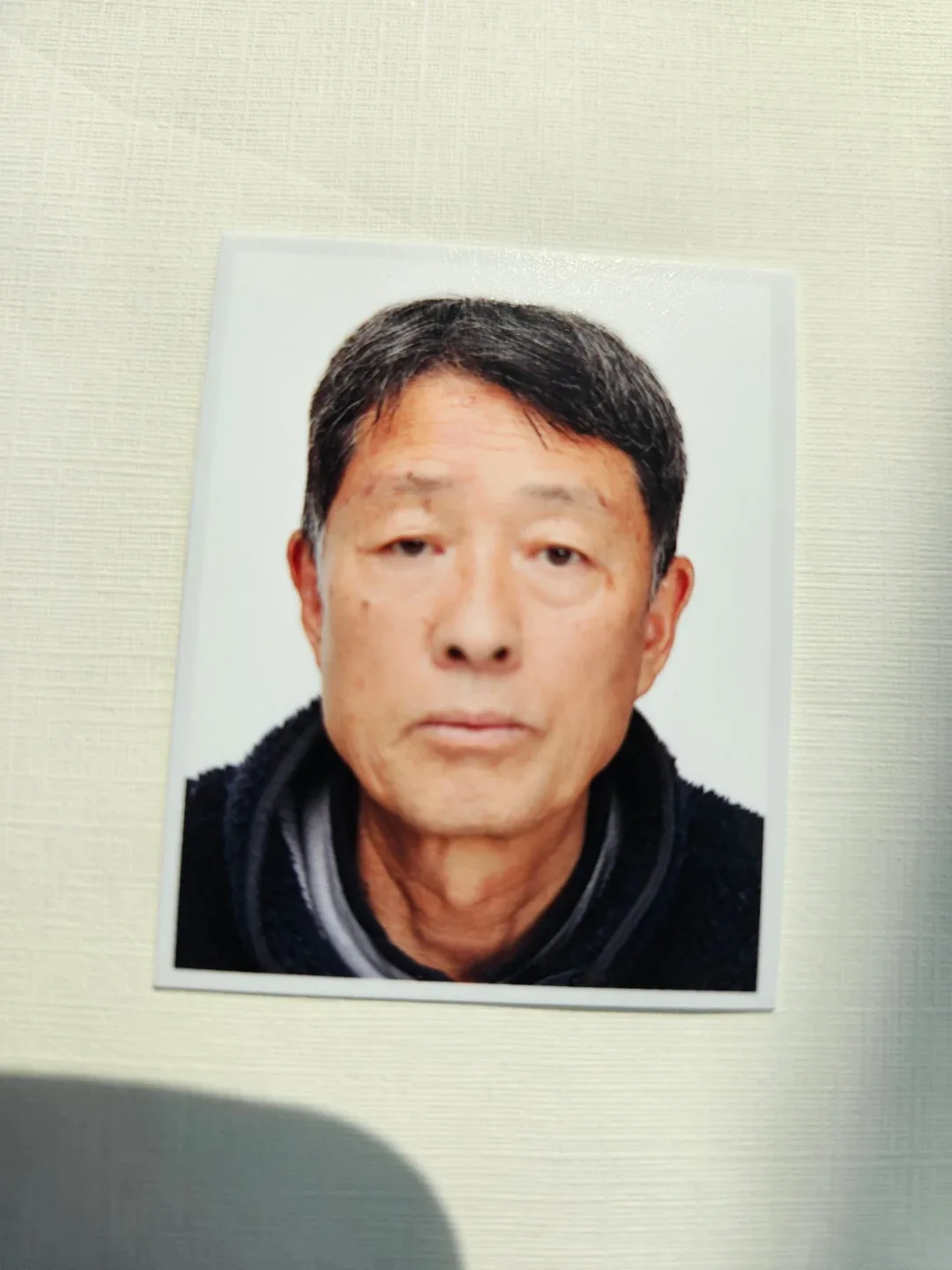 금나무