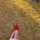 하랑블리