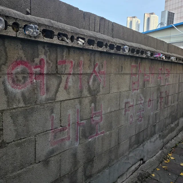 담장