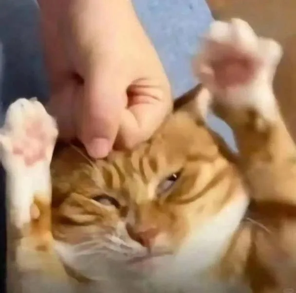 크롭