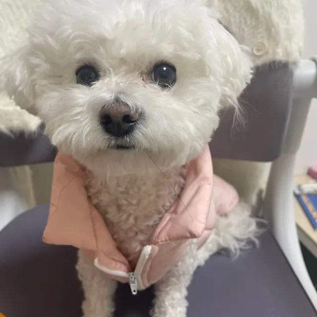 오밍키