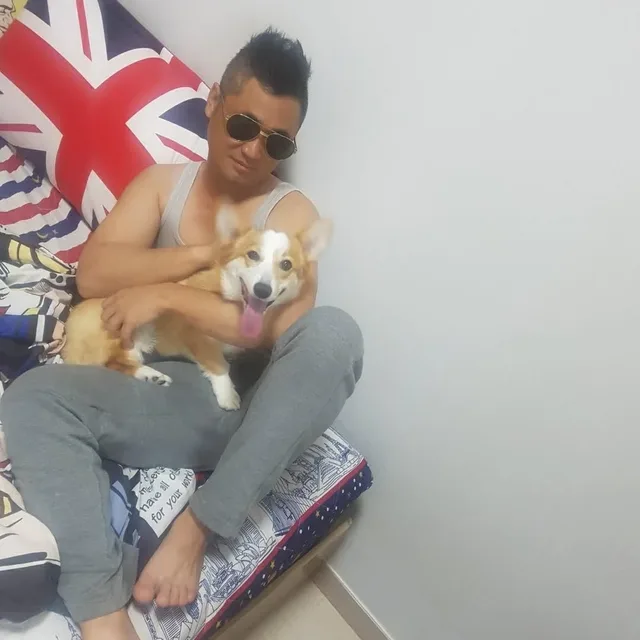 ysy7679114