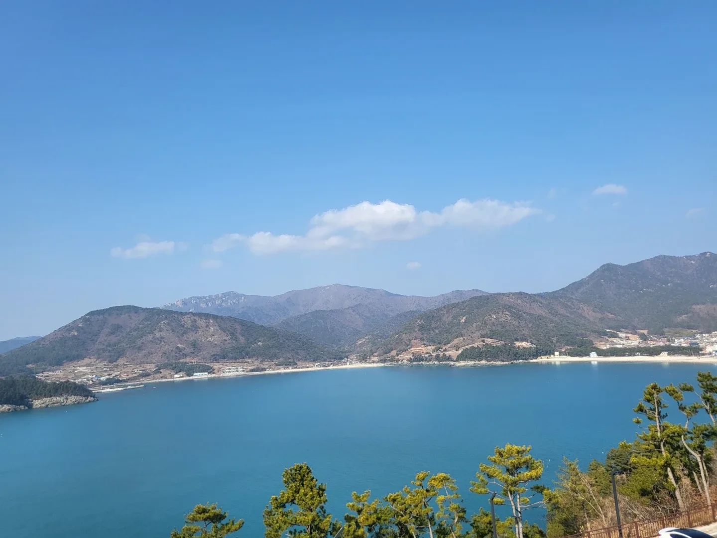 신나게살자