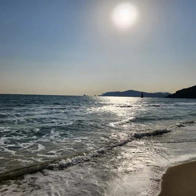 사과