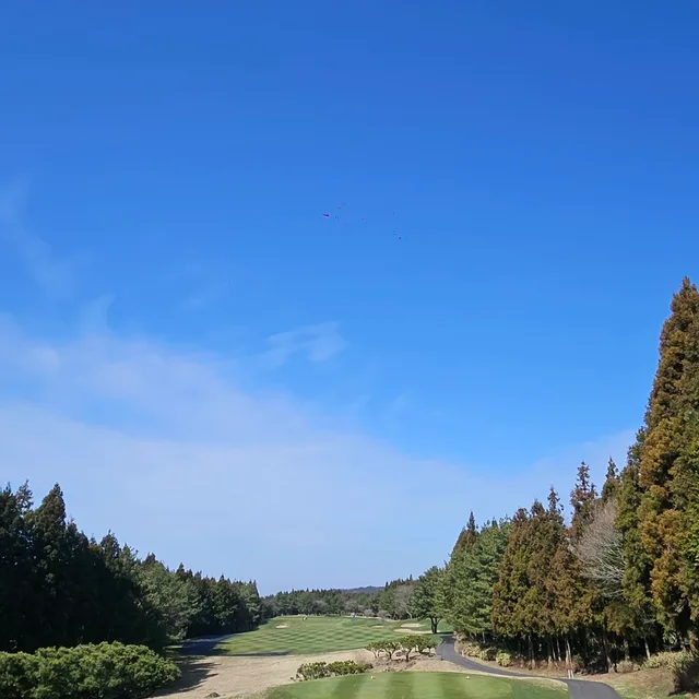 쓰리홍