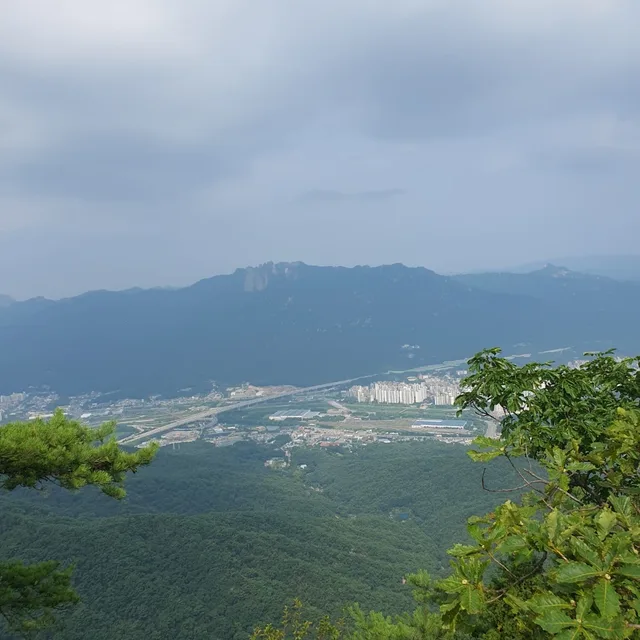 피그렛