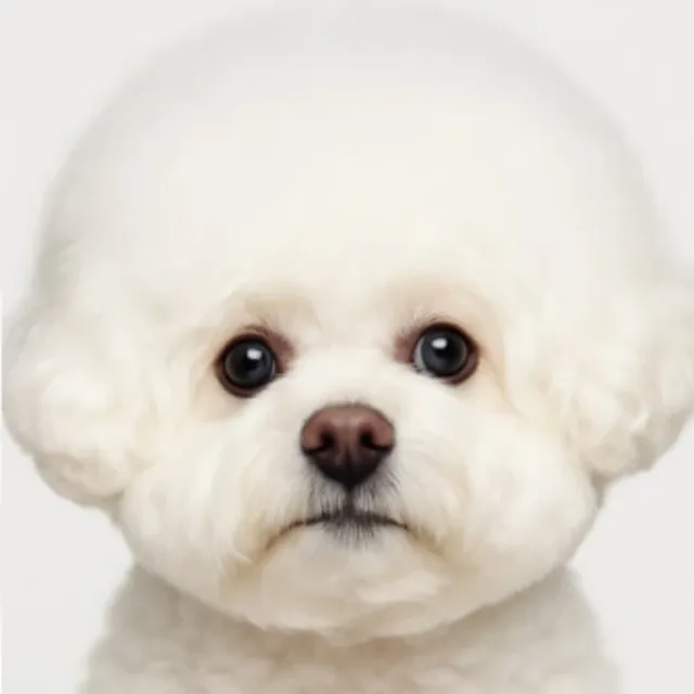해솔