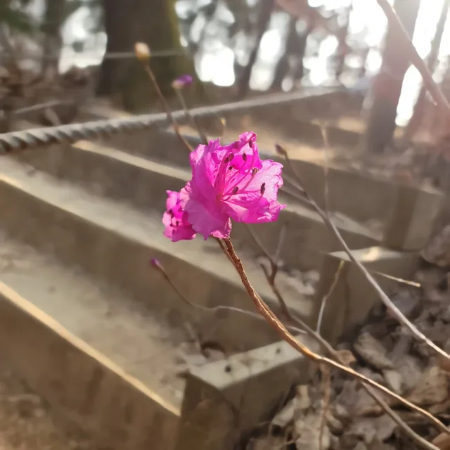 나그네82