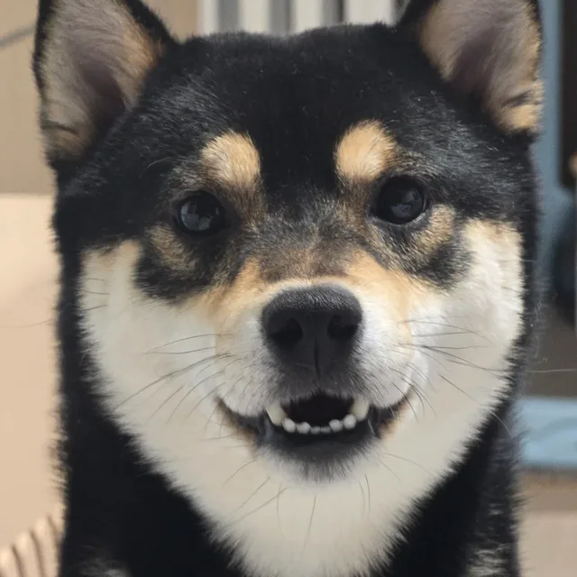 SSS