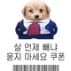 나는운이좋다