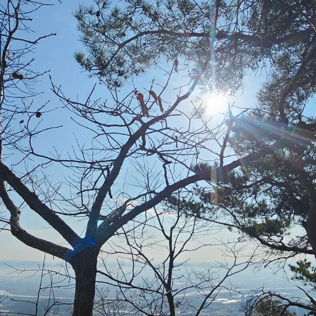 시간가는대루냅둬