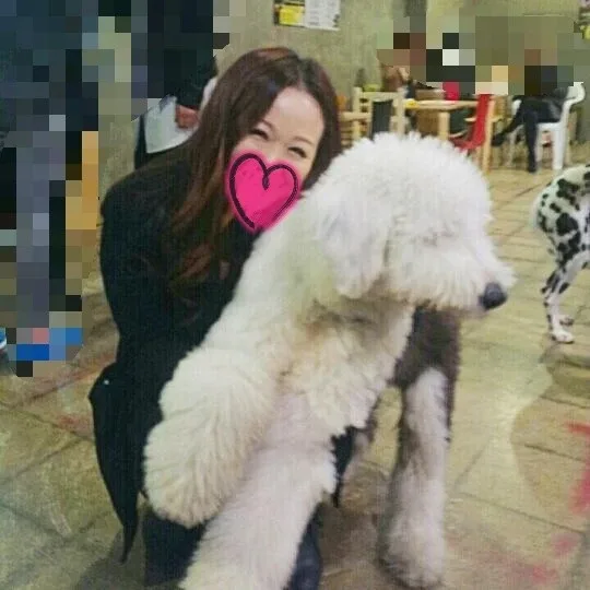 지니