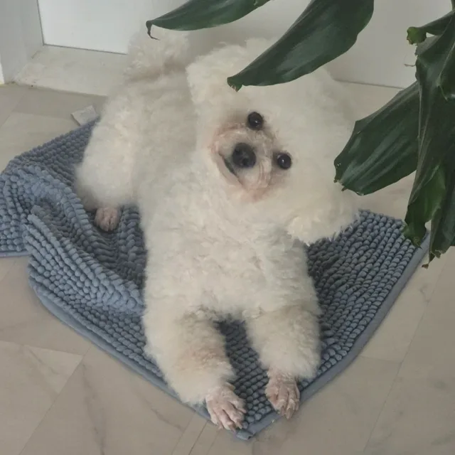 박마음
