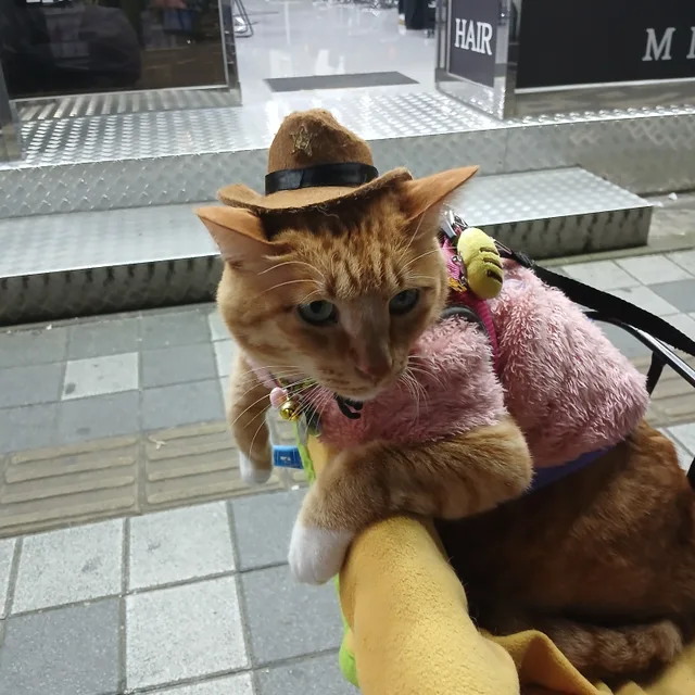 실크