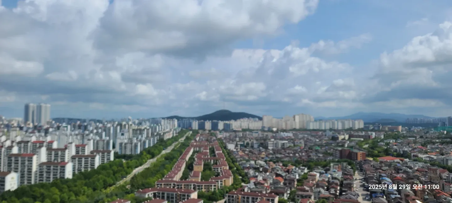 라페스타