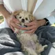 ggangchul