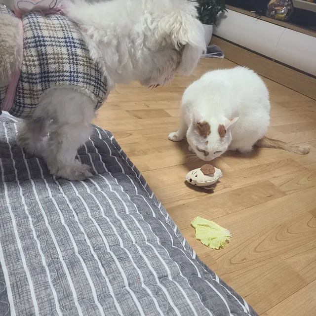 치킨