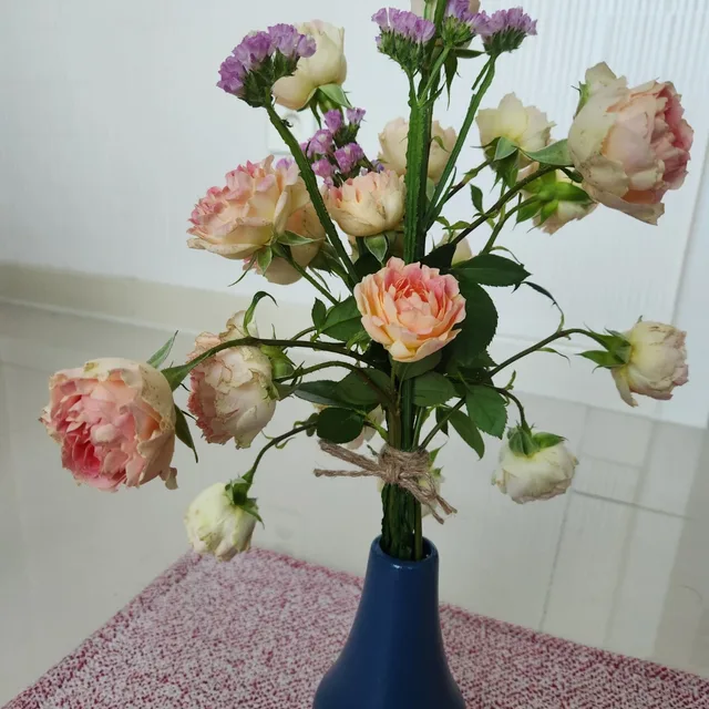 하늘체리