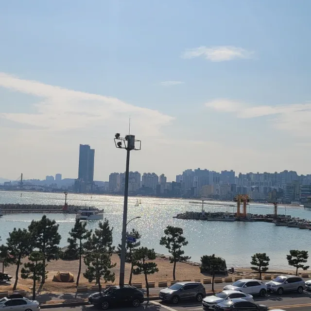 추억의향연