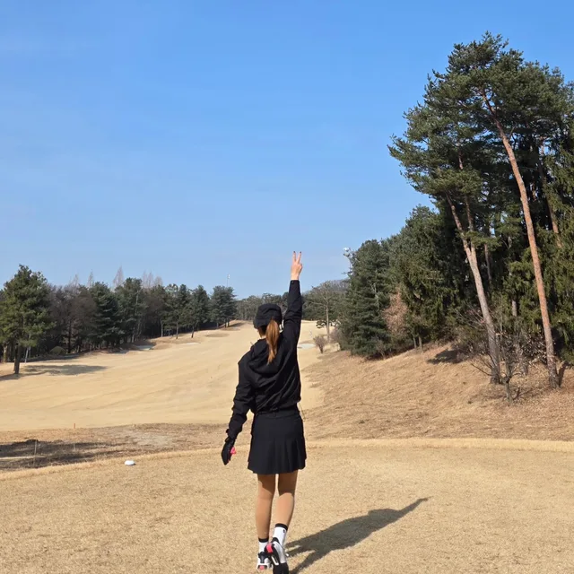 맹라이언