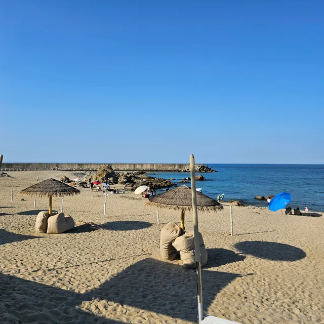 롤롤페
