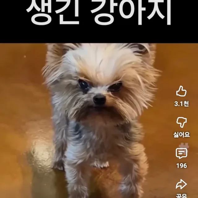 런닝은힘들어
