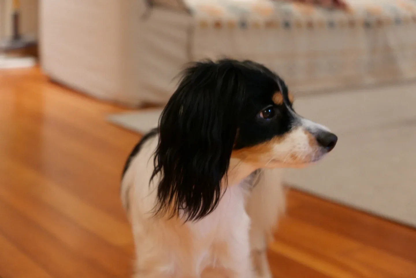 profile