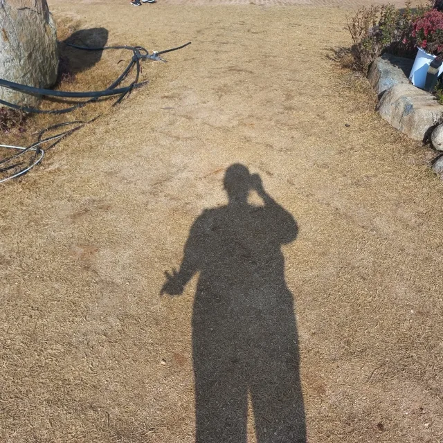 오애리