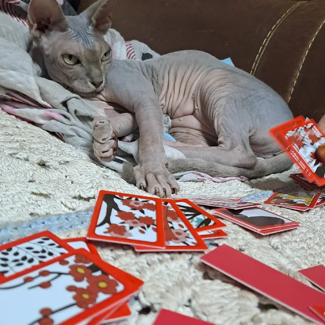 깜아