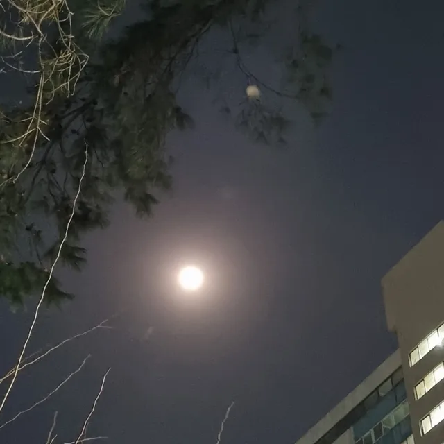 소원성취