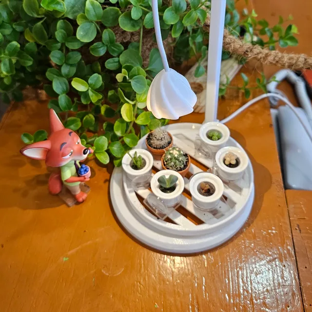 콩콩팥팥