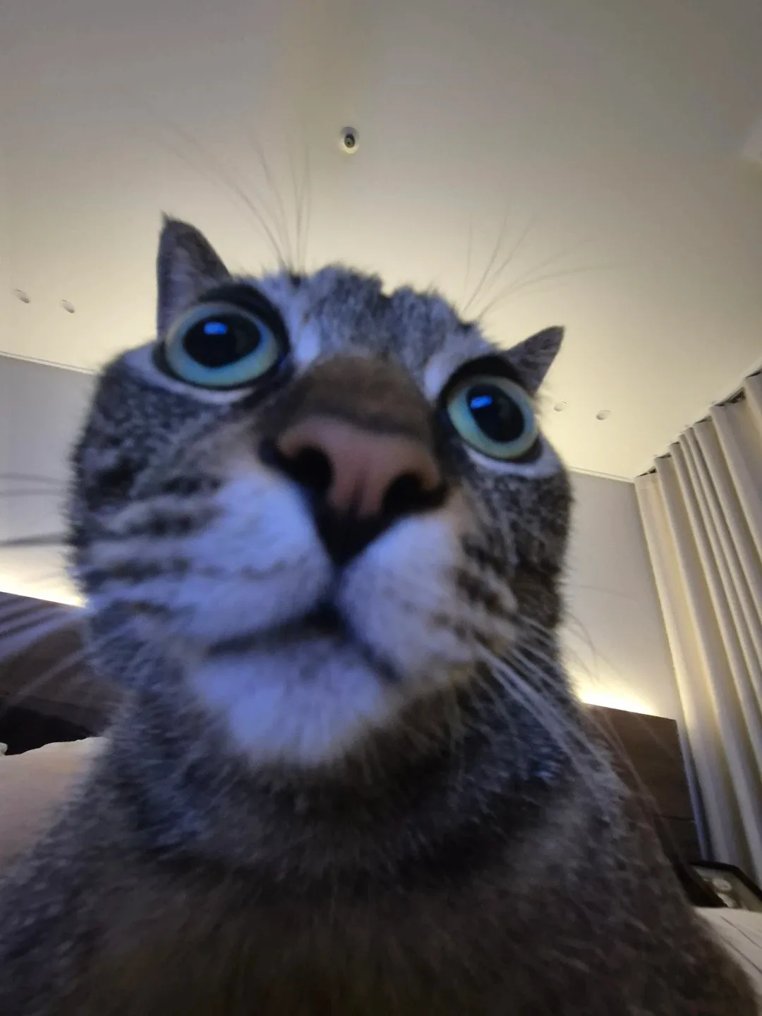 장덕