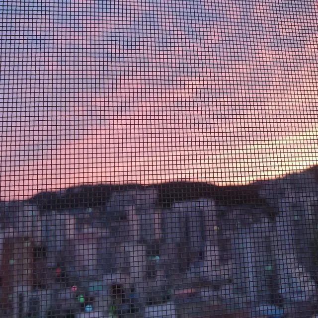진주발견