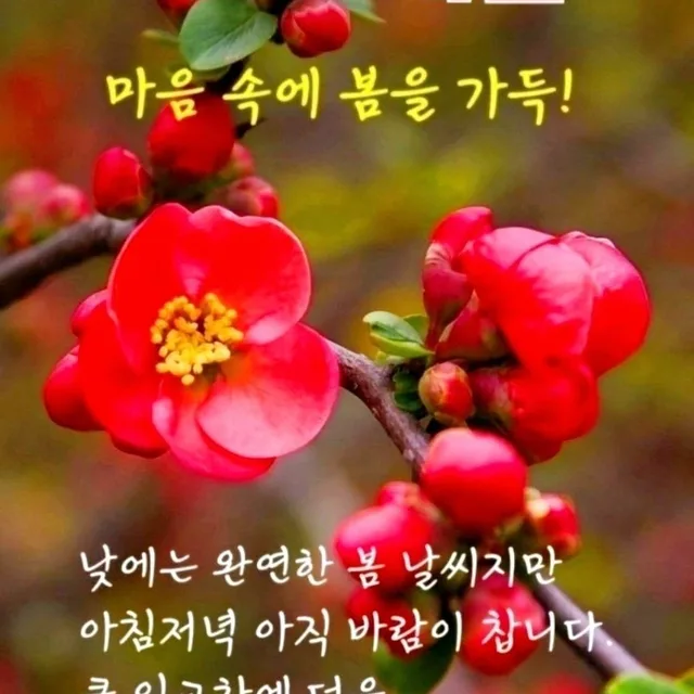 봉황산