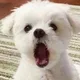 이잉