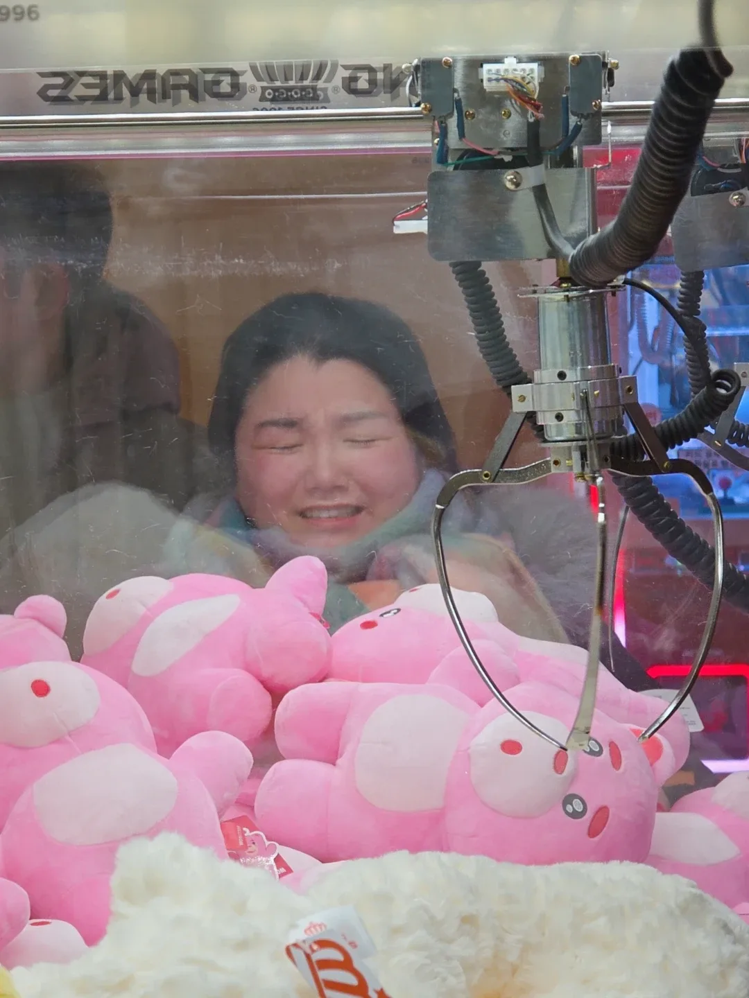 수콩