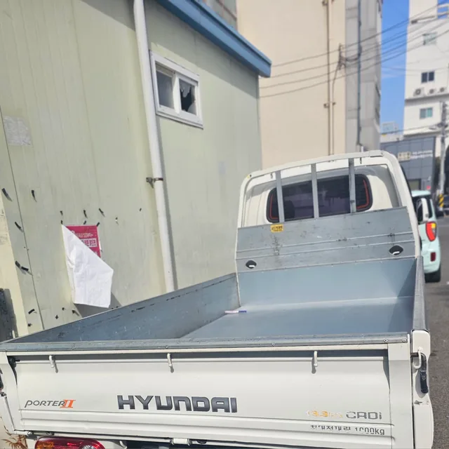 콩알이랑새복이
