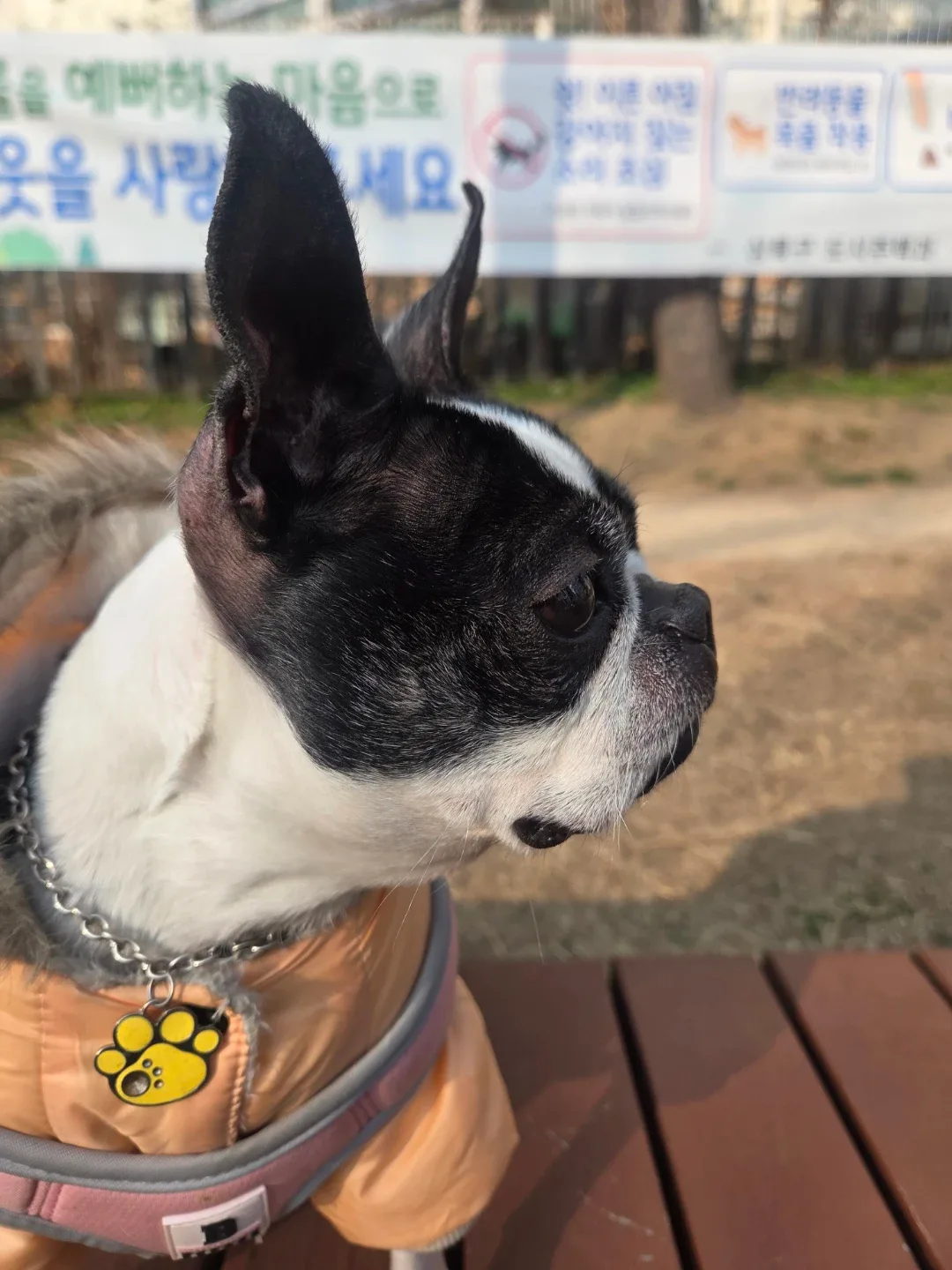 profile