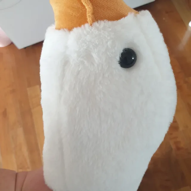 아기피그