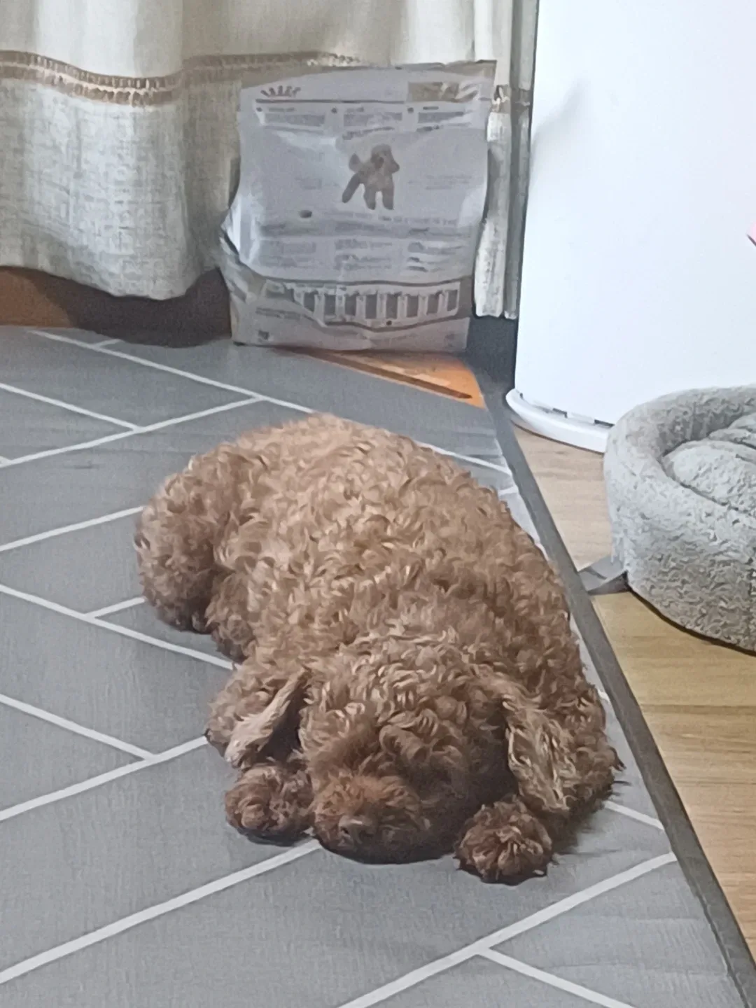앞구르기5번