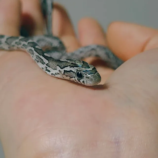 신뢰