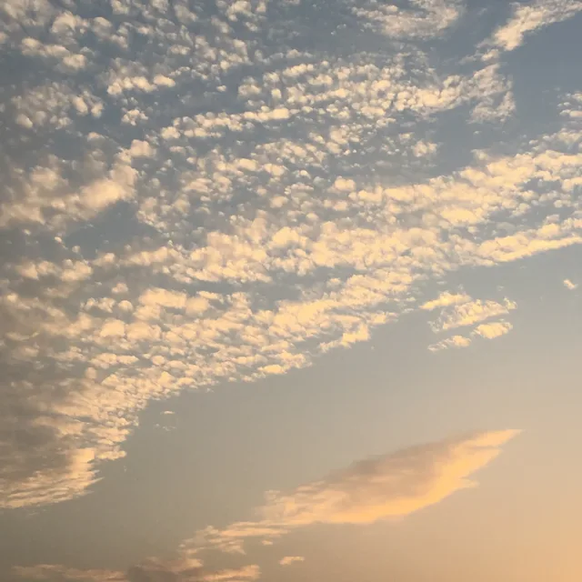 굿럭투유