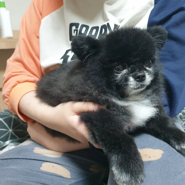미니멀리즘