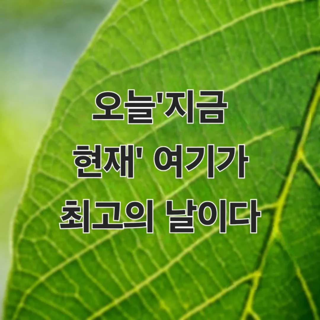 개봉동토박이