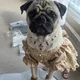 렉스맘
