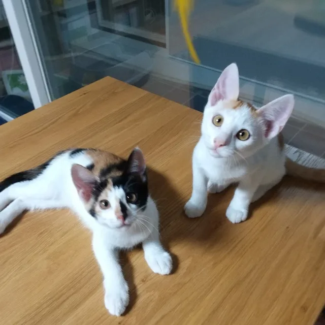 찌맘